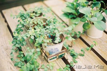 ������һƬ�󺣣�������һҶ����