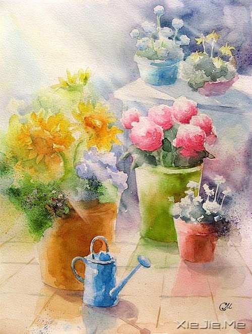 ����ϵˮ�ʻ�