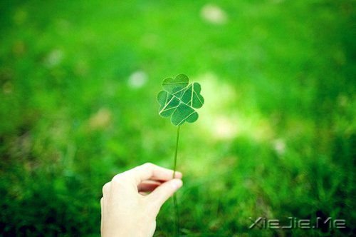 ��ӵ��Ц�����ᾲ�� (6)