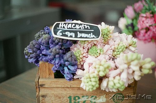 ֻ��֪��ж�������Ц������ (6)