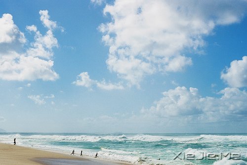 世事自有安排,我们只需顺其自然 (1)