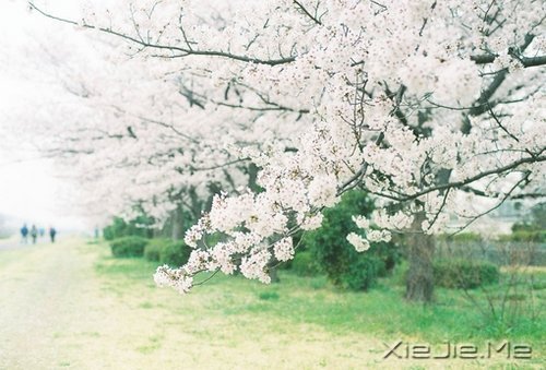 ��Ϊ֪�㣬���Ը��ӽ��Ҹ� (8)