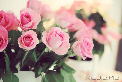 ʱ��������ֻ������һȥ���� (1)