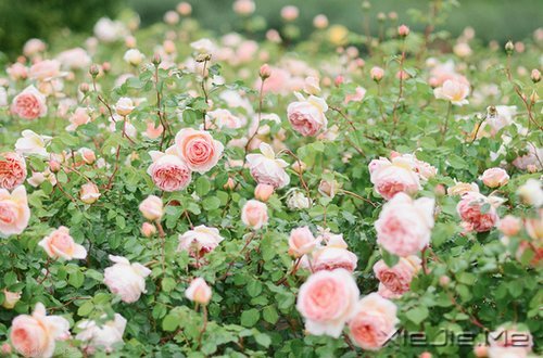 ��һ�������Լ��ĵط����������ж����������� (8)