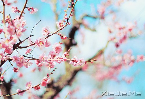 ���ƽ�ͣ�����������װ���������Ҹ� (7)