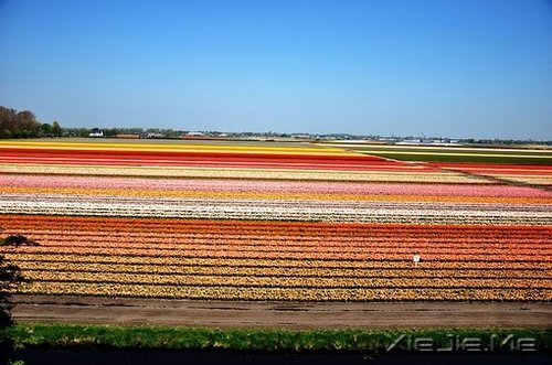 �ڴ�һ������ľ��룬�����������õļ��� (4)