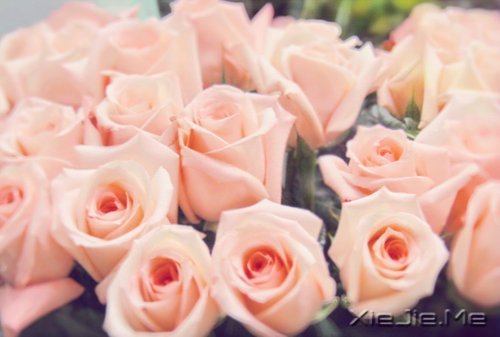 �Ҳ��������������������Լ� (5)