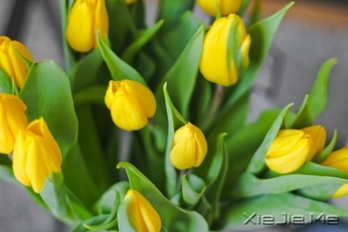 �ܶ�������Ƕ�����֪����ȴ������ (6)