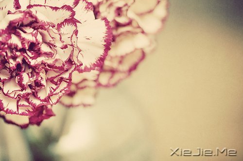 留下的,才是人生 (3)