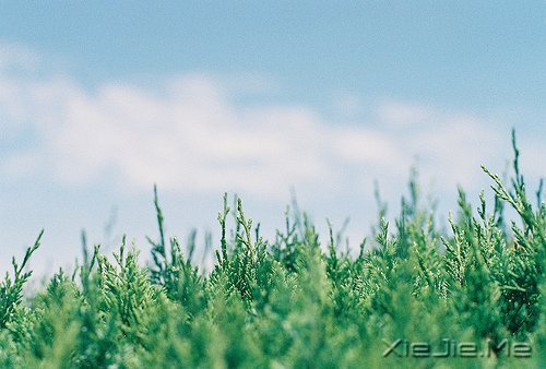 早安心语:生活中最大的幸福是坚信有人爱着我们 (8)