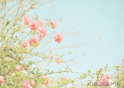 早安心语:得意时要看淡,失意时要看开 (5)