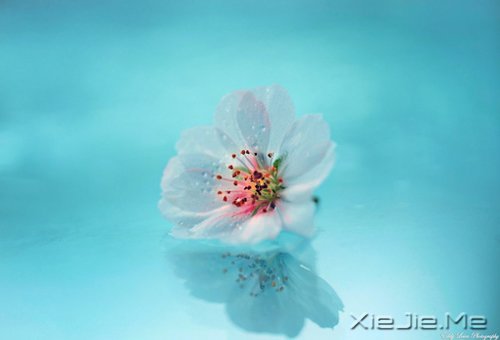 如果时间可以倒退,一切也就不再珍贵 (4)