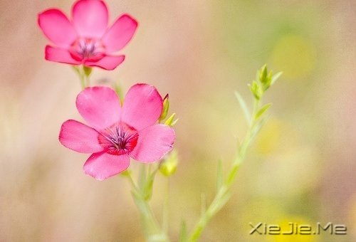 ��ʱ��Ķɿڣ����ǽ��ǹ��� (3)