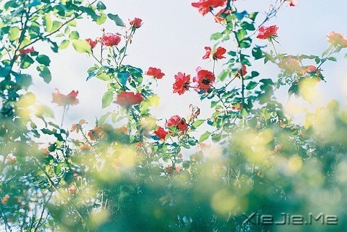 ���˻��������ŵ�ʱ�� (8)