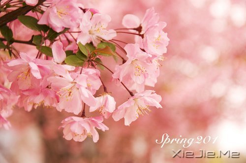 晚安心语:别让人生,输给了心情 (1)