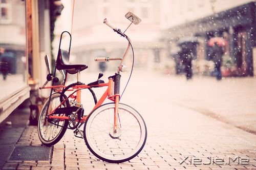 晚安心语:我看起来没心没肺,但其实比谁都真心真意 (2)