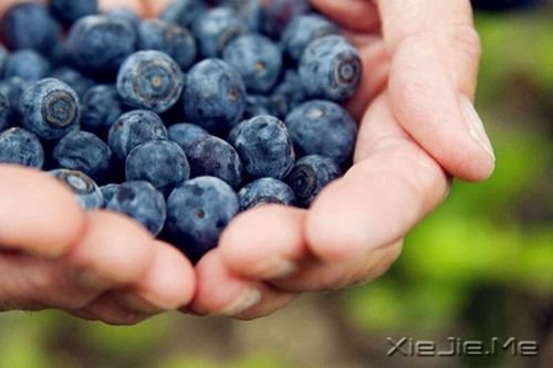 ��������Һ�ƽ�������Ҷ�һ�޶� (7)