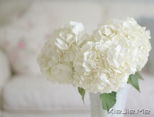 晚安心语:哭不代表软弱,哭只说明你坚强太久了 (10)