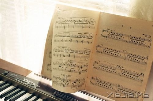 晚安心语:朋友重要的不是数量,而是质量 (7)