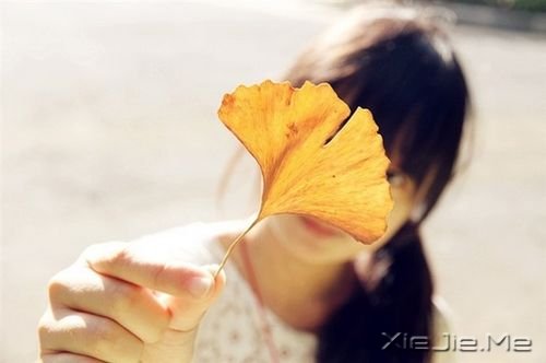 �簲���ֻ��ȫ���Ը������������� (8)