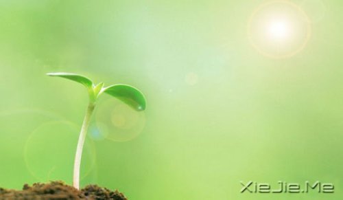 ���������ϲ��̸������ˣ���������˽������ (2)