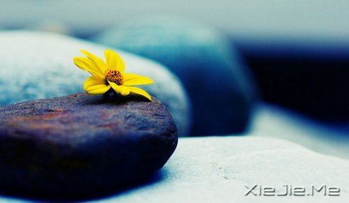 �簲�������������ߣ�Ҳ����һ�����������ͽ (6)