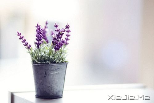 �簲�����Щ���ԣ����������㲻�̽Ҵ� (1)