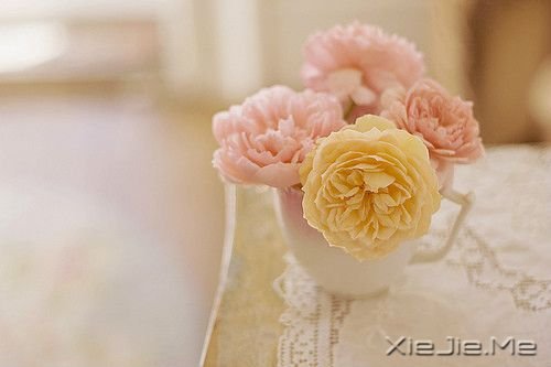 �簲��������е���������������õ�Ц�� (6)