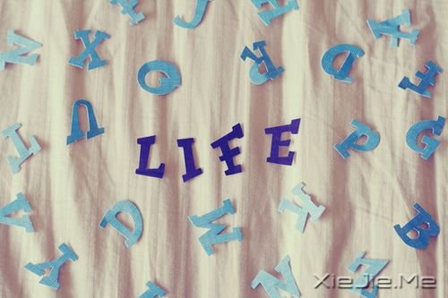 �簲���������ֻ��һ���� (4)