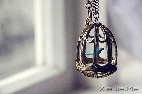 晚安心语:不要因为走得太远,忘了我们为什么出发 (9)