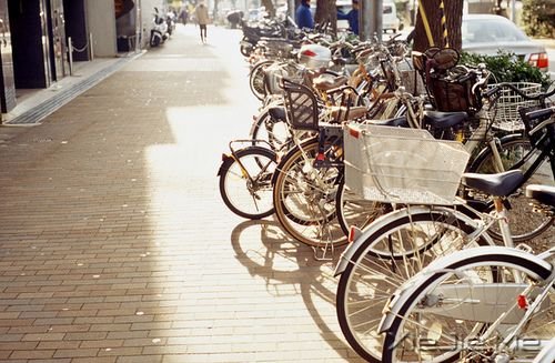 晚安心语:独走的路,是最美的风景 (10)