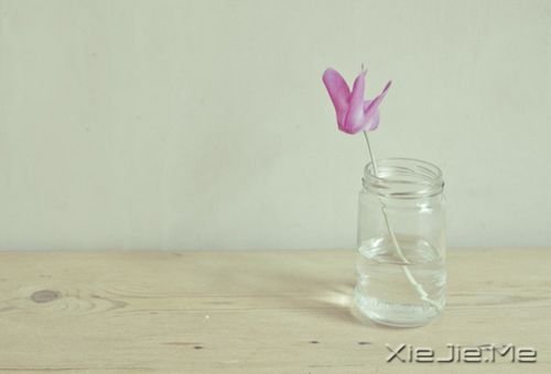 早安心语:你生活在别人的眼神里,就迷失在自己的心路上 (9)