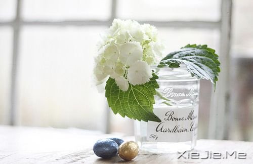 晚安心语:跟随自己的心,而不是随波逐流 (2)