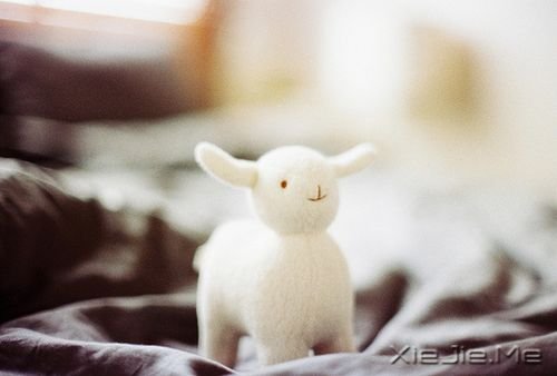 晚安心语:期待,是所有心痛的根源 (8)