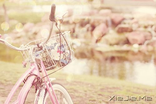 �簲������Ҷ���Խ��Խ��òʱ�����ǻ�����Խ��Խİ���� (8)