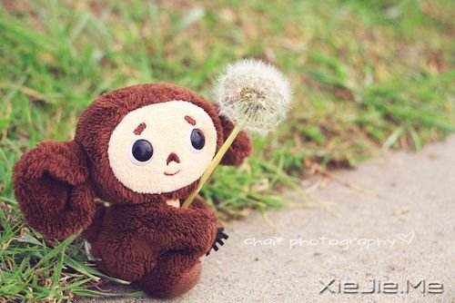 ����һЩ�£�����һЩ�� (7)