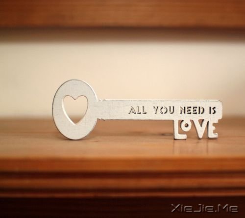 如果我不这么在乎,生活会简单得多 (8)