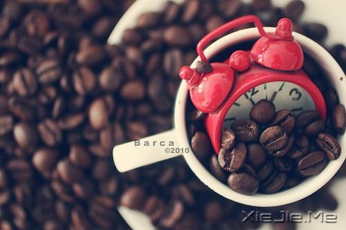 �簲�������ѭ������ʵ�������Լ������� (4)