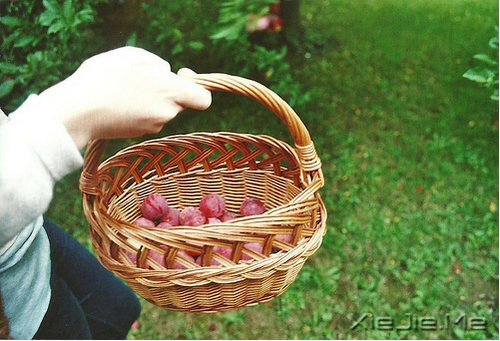 学会和“不舒服”和平共处