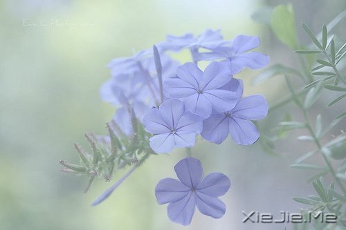 Ը��ס���ҵ����Ҳ���ҵ�������