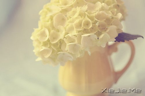 �������������������������� (3)