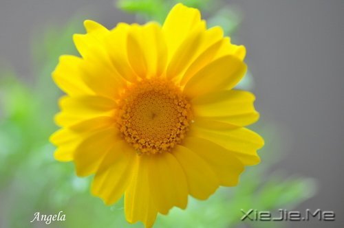 �������������������������� (6)