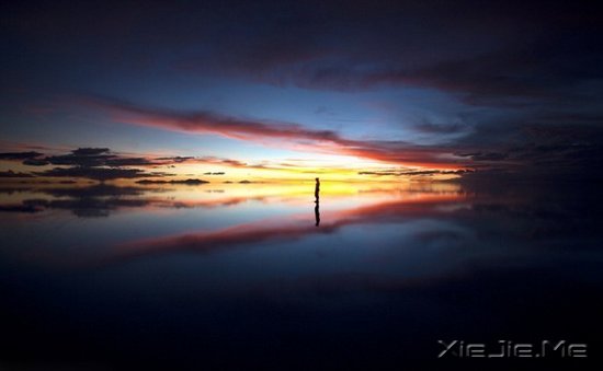 ���˹��£���Ųȵĵ���ֻ�����õĵ�Ӱ