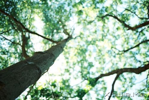 我们需要坚持点什么来“对抗”生活的无能为力