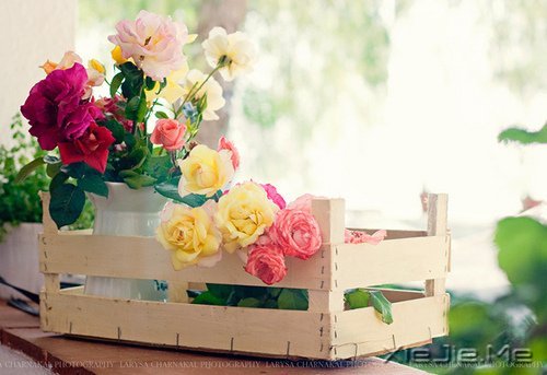 ������¼����ʲôҲ������������ (10)