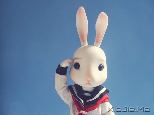 我和这个世界不熟 (1)