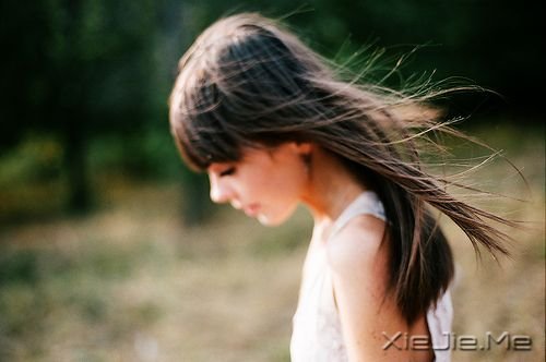 �����Щ�����Ŀ��֣������������ (1)