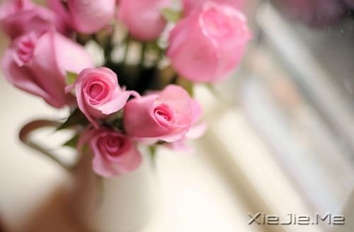 һ��Ӧ��ȥ׷���ʮ������